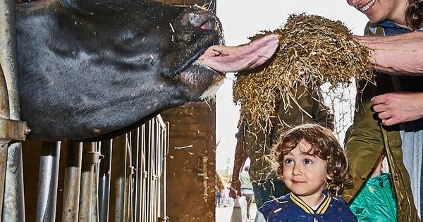 Pannenschuur kan Heukelom komen ontdekken op het Weifeest - BD.nl