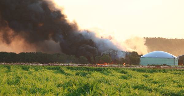 Grote brand bij boerderij in Haps, bijna 400 kalveren komen om