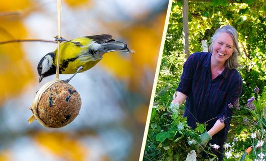 Zo maak je een heerlijk kerstdiner voor vogels