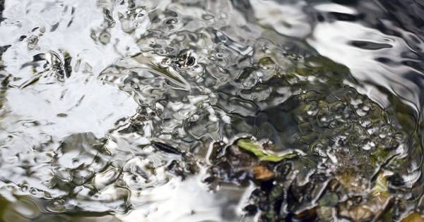Grote waterlekkage in Clinge, 's Gravenstraat staat droog - BN DeStem