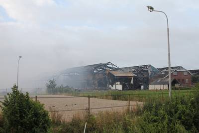 'Dieren in stal net zo beschermd tegen brand als opslagloods met appels'