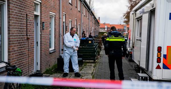 'Arnhemmer die zoon (12) doodde verkeerde in psychose, hulpdienst had moeten ingrijpen' - BN DeStem