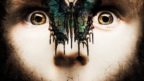 Before I Wake
