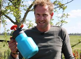 Brandnetels in je tuin? Gooi ze niet weg: tip van boer Tom