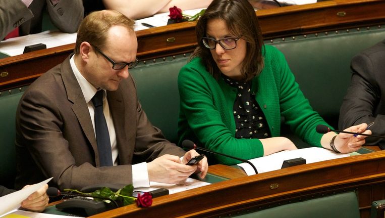 Juridisch orgaan van Raad van Europa onderzoekt artikel 195 | Binnenland | Nieuws | HLN