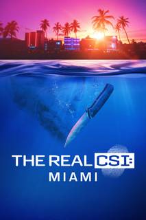 The Real CSI: Miami