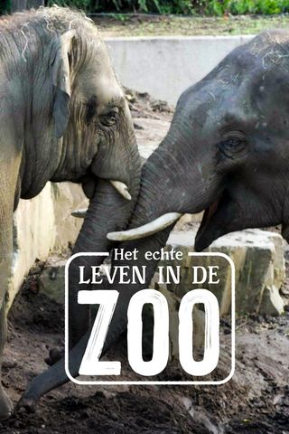 Het Echte Leven in de ZOO