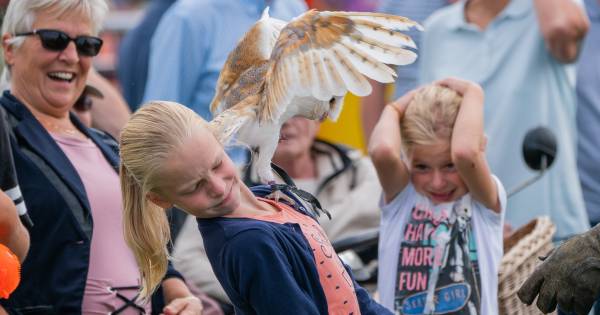 Schuttersfeesten Delden richten blik op heden, met respect voor verleden