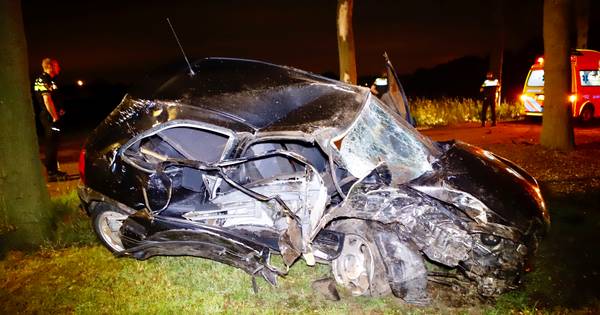 Automobilist gewond door botsing tegen boom in Beugen - De Gelderlander