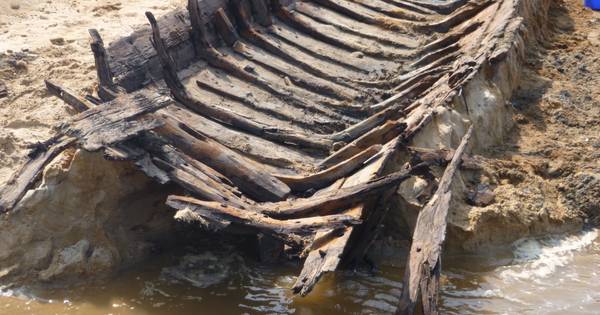 Expeditie Over de Maas: geen behoefte aan nationaal museum - BD.nl
