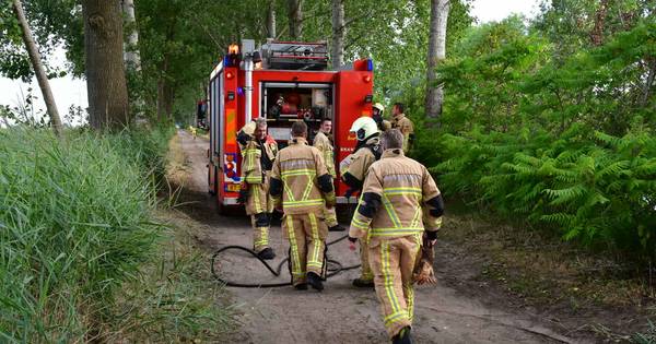 Twaalf bermbranden in Twenterand en Daarlerveen: politie doet onderzoek - Tubantia