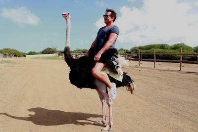 'Geer, ga met je dikke kont van die struisvogel af'