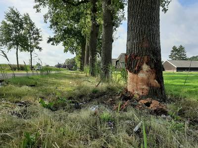 Waarom er veel ongevallen plaatsvinden op ‘niks aan de hand-wegen’