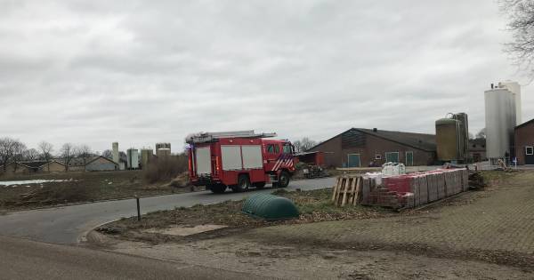 Zolderbrand in Oploo: brandweer snel ter plaatse | Brabant - BD.nl