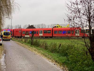 Treinen rijden weer na aanrijding met persoon bij Wehl