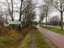 Verhuizing houthandel moet natuur rond Valkenswaard een handje helpen. Maar is dat eigenlijk wel zo? 