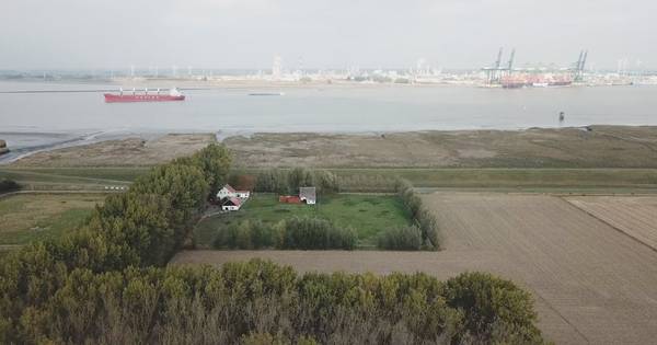 Zo ziet de Hedwigepolder er nu nog uit - BN DeStem