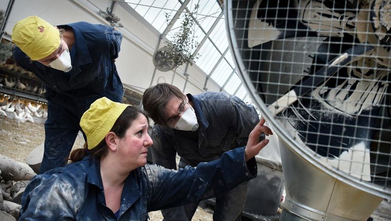 Ze Vinden Hier Werk Of Liefde Buitenlandse Studenten