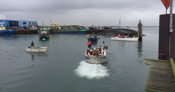 Kreeftenvissers racen naar de beste plek op de Oosterschelde - PZC