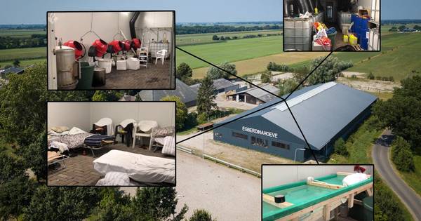 Informatie uit ander onderzoek leidde naar stallen Nijeveen: politie had cokemanege ruim een maand op de korrel.