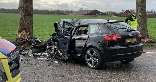 Automobilist komt om het leven bij ernstig ongeluk in Vinkel - BD.nl