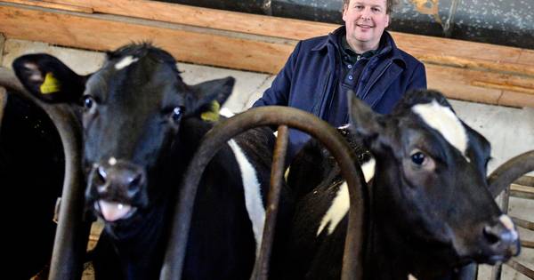 Ewald Stamsnieder hoeft niet meer te bewijzen dat Trui 113 en 114 zusjes zijn - Tubantia