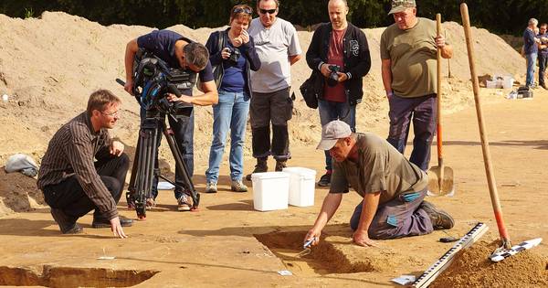 Heilig bos en cultusplaats uit Keltisch-Romeinse tijd ontdekt bij Peer - Eindhovens Dagblad