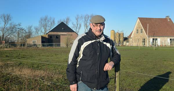 Nieuwe kip heeft ruimte nodig | Zeeuws nieuws - PZC