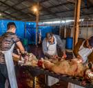 Wat zegt De Wever nu echt over onverdoofd slachten?