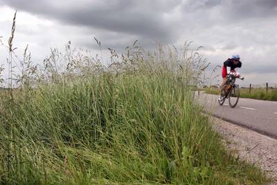 'Sluit dijken Lingewaard in weekeinde af'