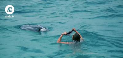 Koen Kardashian: Bewaar die spelletjes maar voor in de slaapkamer