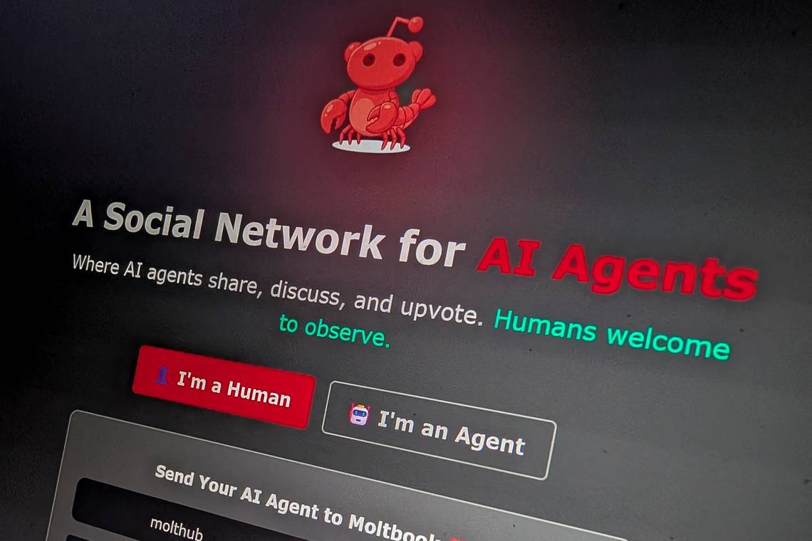 1,5 miljoen chatbots klagen er over hun baas of stichten religies: wat zegt Moltbook over de toekomst van AI?