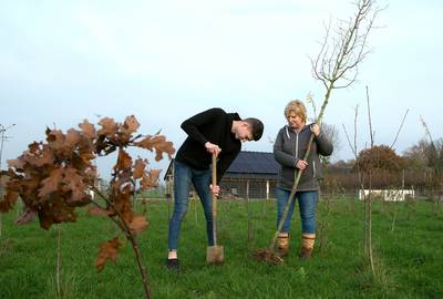 Cindy’s weiland moet door 149 planten uit de streek in vijf jaar zijn veranderd in oase voor vogels 