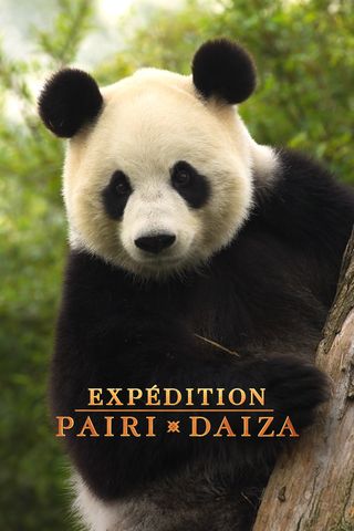 Expédition Pairi Daiza