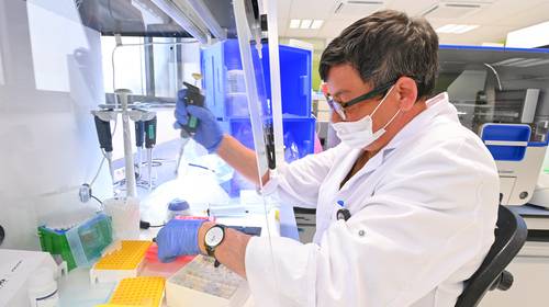 Coronavirus muteert volop: hoe gevaarlijk is dat?