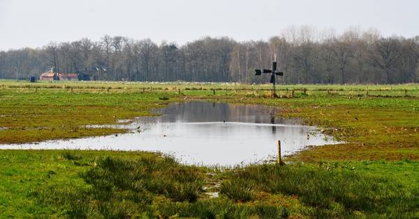 Ottershagen Tilligte valt compleet droog | Dinkelland - Tubantia
