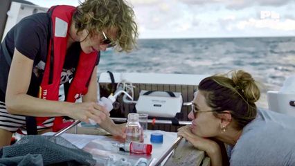 8. Aflevering 8