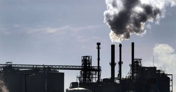 Teerkot Zelzate breidt uit | Zeeuws-Vlaanderen - PZC