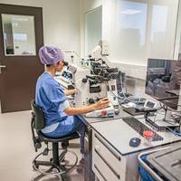 Liet u uw eicellen invriezen of overweegt u dat te doen?