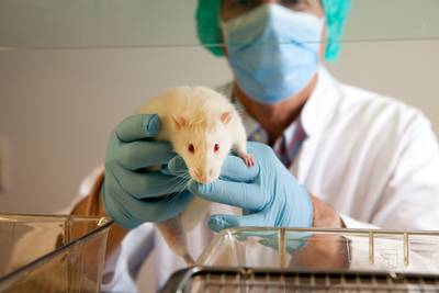 Europa wil wereldwijd 
verbod op dierproeven