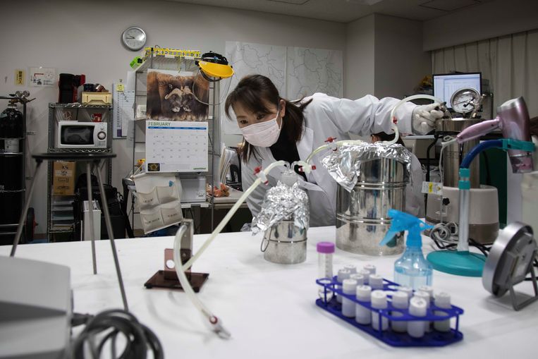 In Fukushima zijn burgers nog steeds bang voor straling in hun voedsel - Trouw