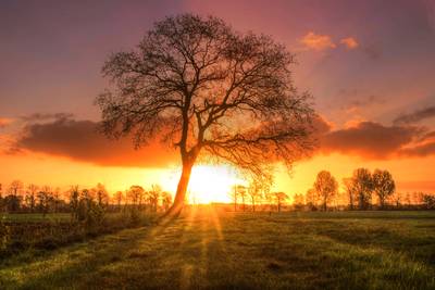 Dit is de mooiste weerfoto van het jaar