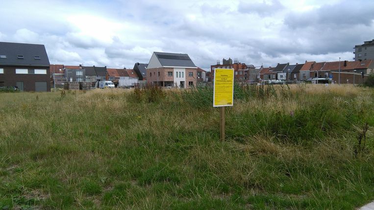 Godschalkstraat sintniklaas