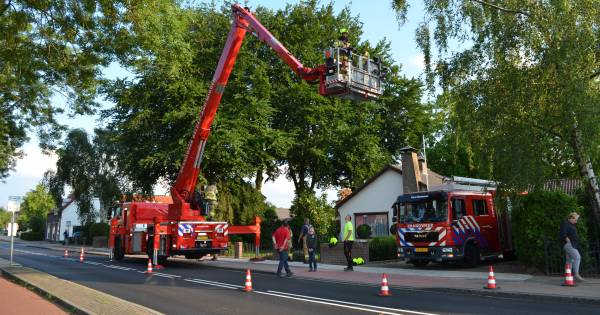 Brandweer druk met tak die op woning en serre in Haalderen dreigde te vallen - De Gelderlander