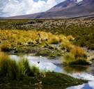 Dit waren uw klimaatvragen