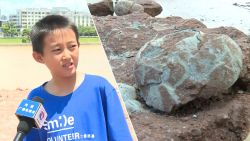 Zou jij een dino-ei herkennen? Dit jongetje vond er elf!