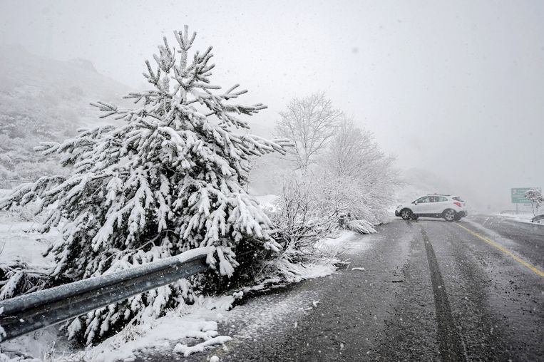 763?appId=2dc96dd3f167e919913d808324cbfe