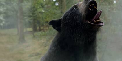 Cocaine Bear