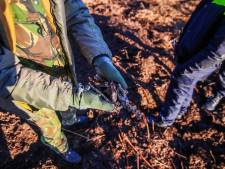 Granaat tot ontploffing gebracht in Liessel