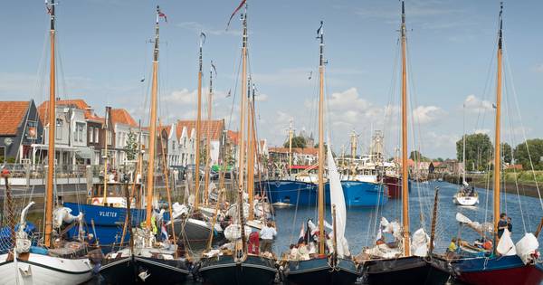 Inschrijving zwemtocht haven Zierikzee geopend | Schouwen-Duiveland - PZC